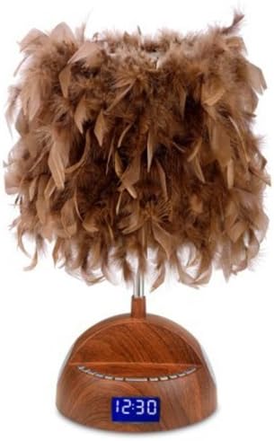 LighTunes  LS1010-WOD-BT Bluetooth Speaker Lamp with Alarm Clock, FM Radio, USB Charging Port, and Feather Shade, Wood Grain