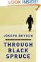 Through Black Spruce