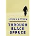 Through Black Spruce