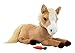 Toys : I Love Ponies - Honey My Baby Pony