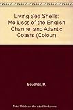 Living seashells : molluscs of the English Channel and Atlantic coasts