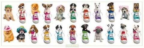 1art1 48983 Hunde - Schuhe und M&uuml;tzen von Keith Kimberlin T&uuml;r-Poster (158 x 53 cm)