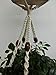 4 Legs Macrame Cotton Woven Plant Holders with Brown Wood Bead Decoration for Double Pots ,Natural Color, 43-inches Without the Plant and Pot