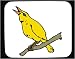 Mouse Pad with United States, chirp, perch, animal, bird, south