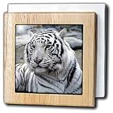 Tigers - White Tiger - Tile Napkin Holders