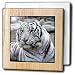 Tigers - White Tiger - Tile Napkin Holders