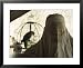 Woman in a Heavy White Veil with a Caged Parakeet, Rawalpindi, Pakistan Collections Framed Photographic Poster Print, 31x25