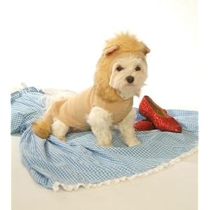 Lions outfit Image for pets