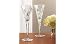 Waterford Lismore Toasting Flutes, Set of 2