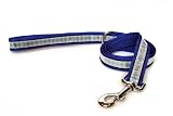 Illumidog Reflective Leash: Blue / 4ft.