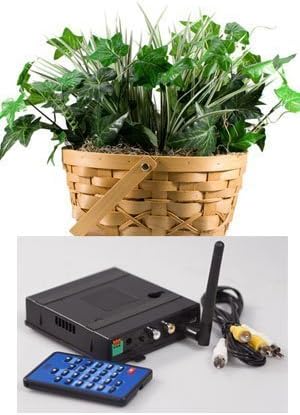 QUAD Covert Wireless Plant Camera