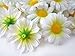 (100) Silk White Gerbera Daisy Flower Heads , Gerber Daisies - 1.75