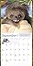 Sloths Wall Calendar 2016