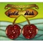 Perceptions of Pacha Mixed By Gold Fish