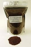 2.5 Lbs - Bulk Organic Broccoli Sprouting Seed - Certified Organic - 2.5 Pound Re-Sealable Bag - High Germination Rate - Perfect for Edible Seeds, Gardening, Hydroponics, Growing Salad Sprouts & Food Storage - Sprout Indoors for Fun, Health & Great Taste. Broccoli Sprouts Contain Sulforaphane. Brocoli, Broccolli, Brocolli Seeds.