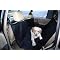 Pet Travel for Car