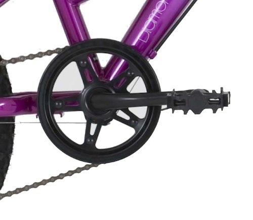 Diamondback Girls' Tess 20 Jr Mountain Bike (20-Inch Wheels)