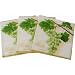 Fruit Design Print Luncheon Napkins, Pack of 20
