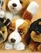 Plush Basset Hound Puppies 9