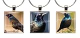 COMMON GRACKLES ~ Scrabble Tile Wine Glass Charms ~ Set #1 ~ PAIR & A SPARE ~ Set of 3 ~ Stemware Charms/Markers/Pendants