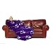 Minnesota Vikings Adult Comfy Throw Blanket with Sleeves