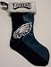Philadelphia Eagles Colorblock Plush Christmas Stocking