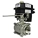 Greenfield Automatic Security Valve Kit, 2 In. Pipe (ASV200)