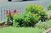 Border Fence 10m x 650mm