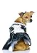 French Maid Dog Halloween Costume