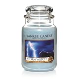 Yankee candle 22oz (609032056308)