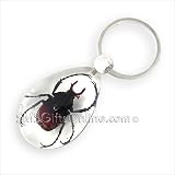 Clear Acrylic Amber Insect Antle Horned Beetle Keyring