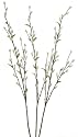 Set of 3 Willow Branch Stems - Sage (33")