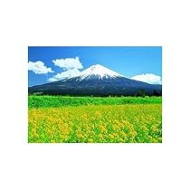 3000ピース 黄色い花畑と富士 30-30