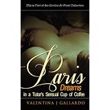 Paris Dreams - Erotic Romance (The Erotica at Work Collection)