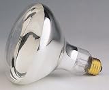 Outdoor Living : Westinghouse Lighting 3918 Heat and Brooder Bulb