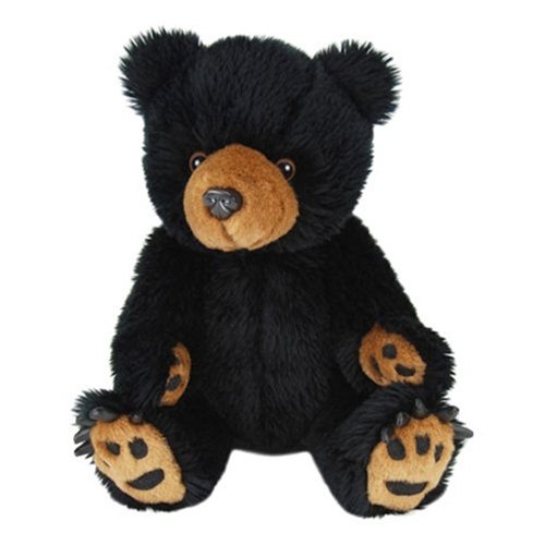 41eZx2nbwDL 12 Black Teddy Bear   Sitting