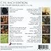 C.P.E. Bach Edition / Various