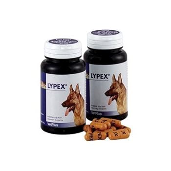 Capsules Lypex - Pack 60