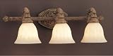 Designers Fountain 4973-RG Raphael Bath / Vanity Light Renaissance Gold 26-1/2 w x 8-1/2 h x 9-3/4 ext.