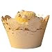Paper Orchid Seashells Cupcake Wrapper Latte, Set of 12