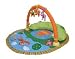 Tomy Winnie the Pooh Grow With Me Play Gym