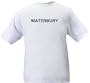 WATERBURY - City-series - Heather Grey or White T-shirt