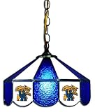 14 Swag Hanging Lamp Light University of Kentucky Wildcats - Free Shipping