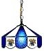 14" Swag Hanging Lamp Light University of Kentucky Wildcats - Free Shipping