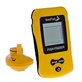 Wireless Fish
