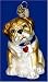 Old World Christmas Ornament Bull Dog Pup #12136