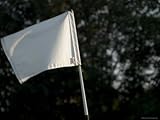 IMAGE OF Close View of a Flag on a Golf Course, Groton, Connecticut Stretched Canvas Poster Print by Todd Gipstein, 12x16