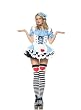 Sexy 2Pc Miss Alice In Wonderland Halloween Costume