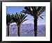 Palm Trees and Red Sea, Eilat, Israel, Middle East Collections Framed Art Poster Print by Sylvain Grandadam, 31x25