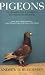 Pigeons: The Fascinating Saga of the World's Most Revered and Reviled Bird